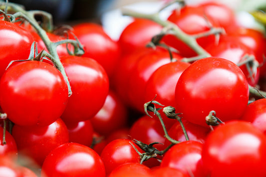 Tomaternas tid – Skördesäsongen nalkas på Sicilien