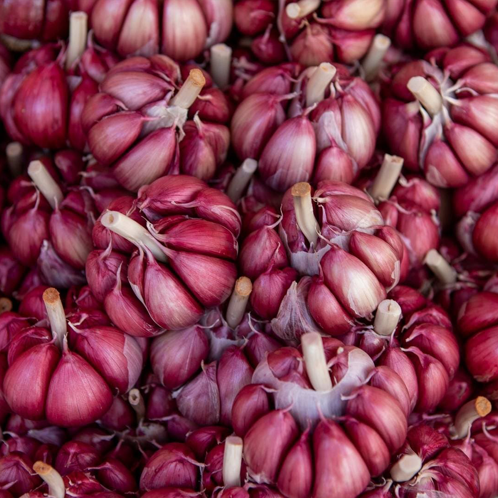Slow Food på Sicilien – när maten blir ett sätt att bevara en hel ö